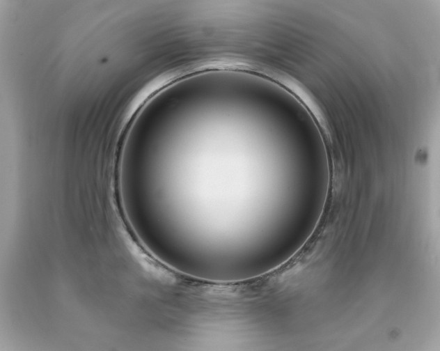 X0000091930861200709121557