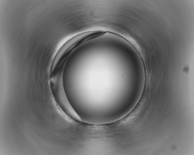X0000091930862200709121557