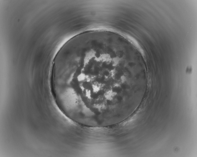 X0000091930863200709121557
