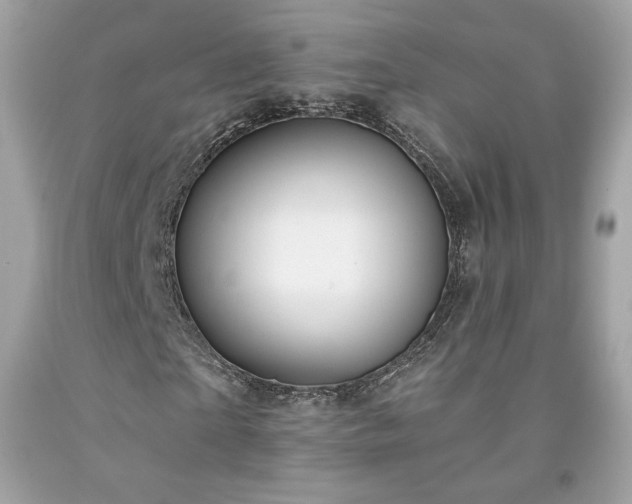 X0000091930865200709121557