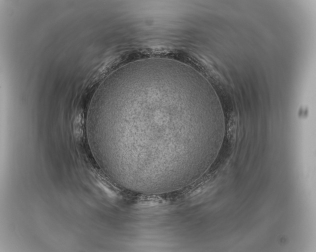 X0000091930866200709121557