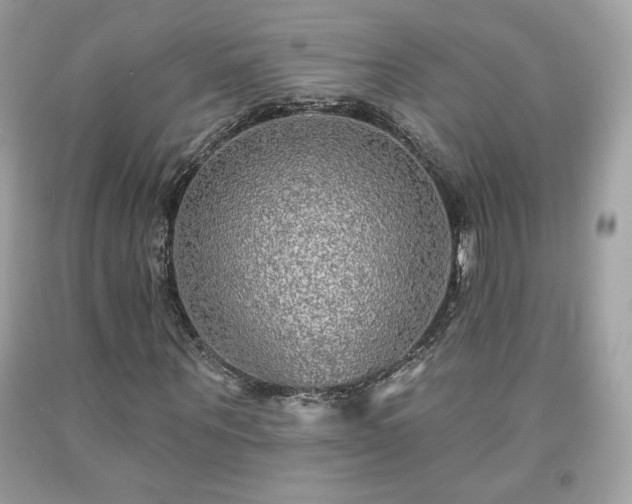 X0000091930867200709121557