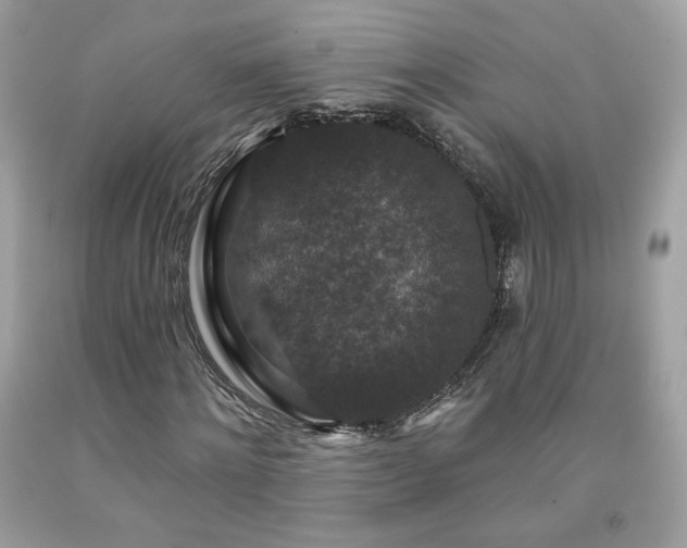X0000091930868200709121557