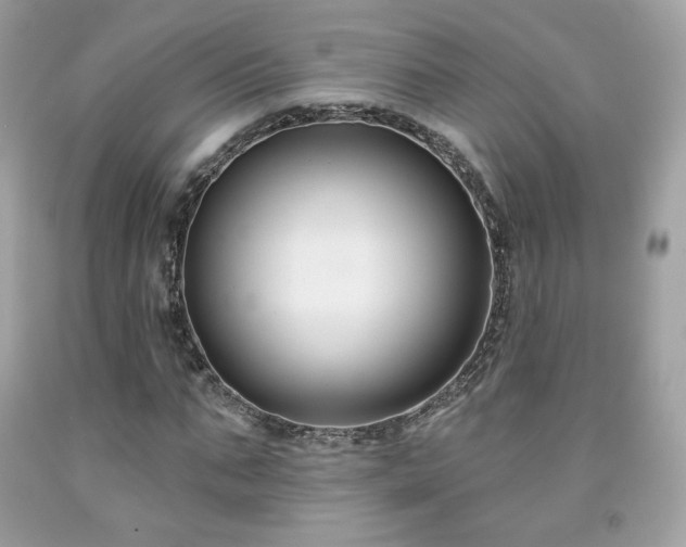 X0000091930871200709121557