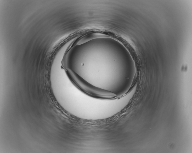 X0000091930872200709121557