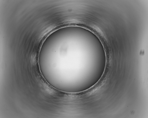 X0000091930873200709121557