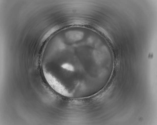 X0000091930874200709121557