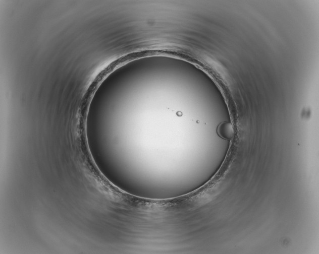 X0000091930875200709121557