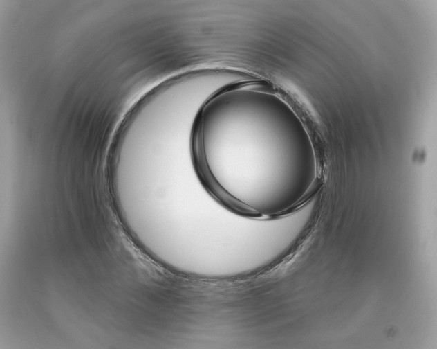 X0000091930876200709121557