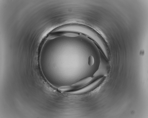 X0000091930877200709121557