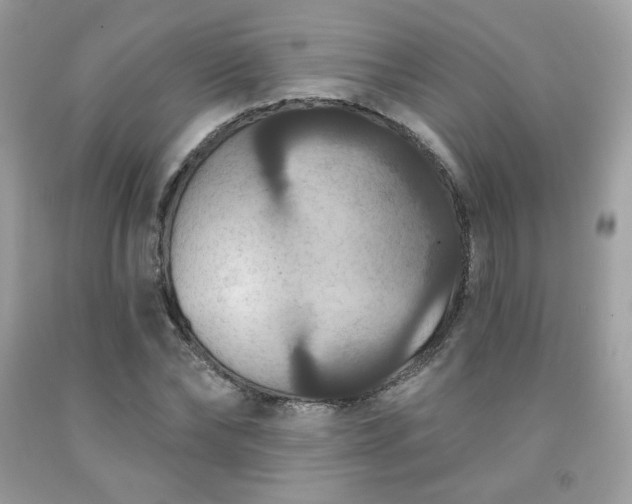 X0000091930878200709121557