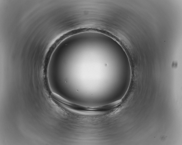 X0000091930880200709121557
