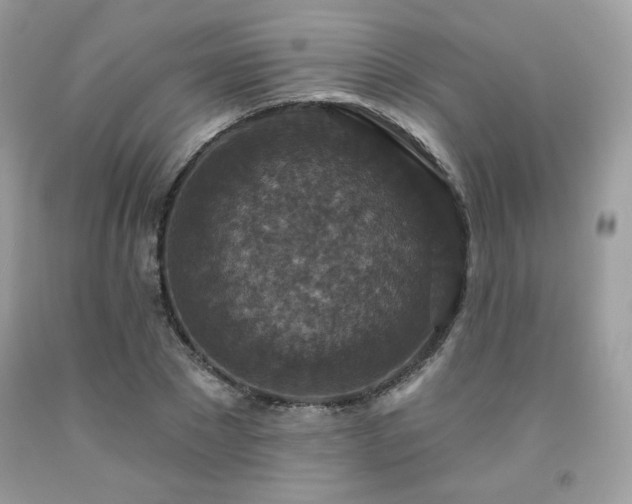 X0000091930881200709121557