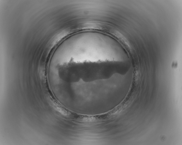 X0000091930882200709121557
