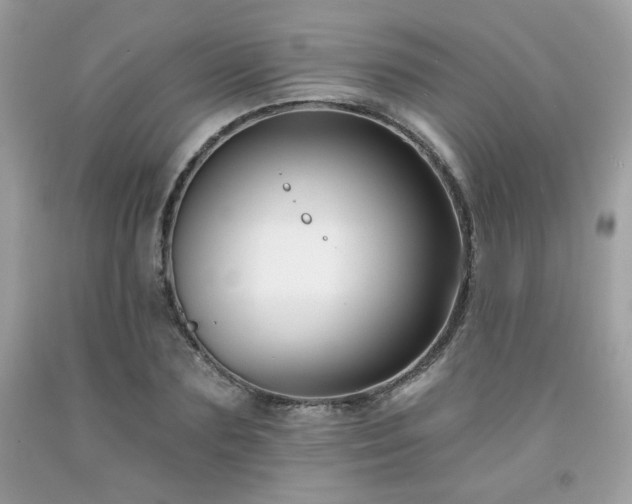 X0000091930883200709121557