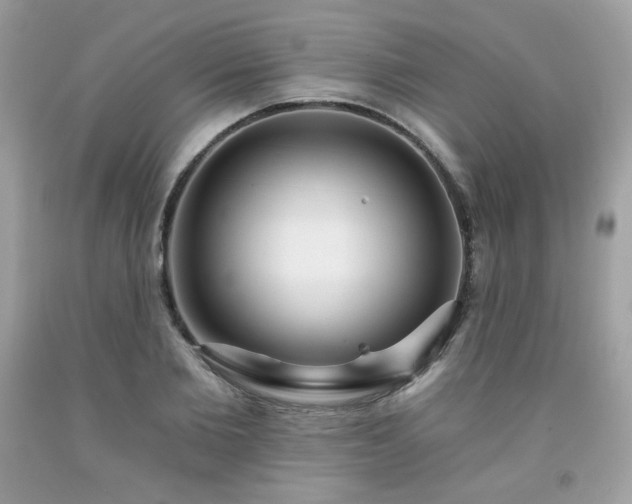 X0000091930885200709121557