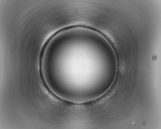 X0000091930888200709121557