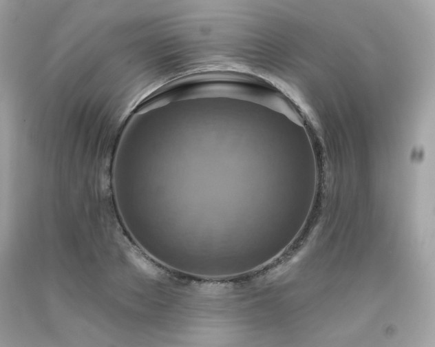 X0000091930889200709121557