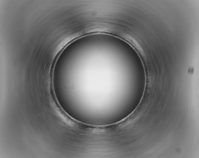 X0000091930890200709121557