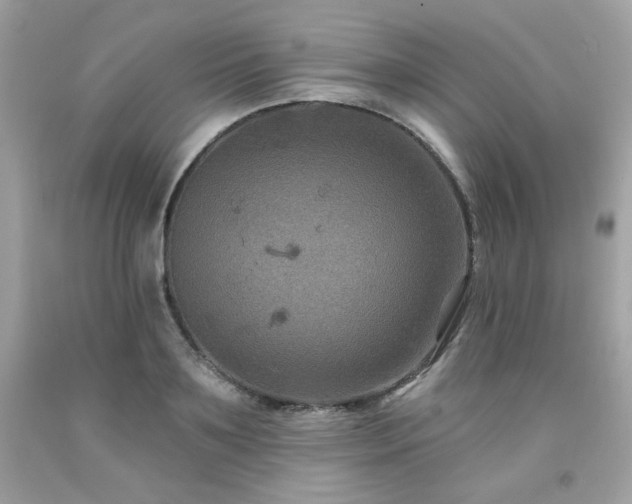 X0000091930891200709121557