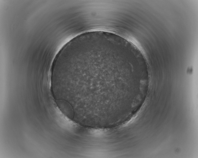 X0000091930892200709121557