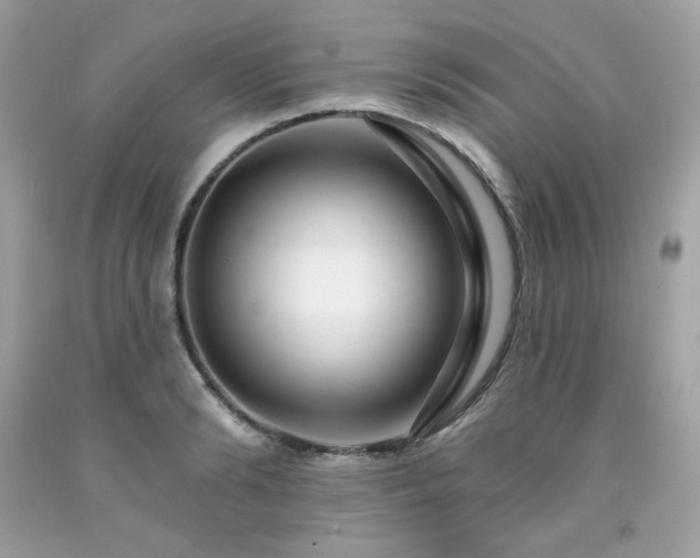 X0000091930894200709121557