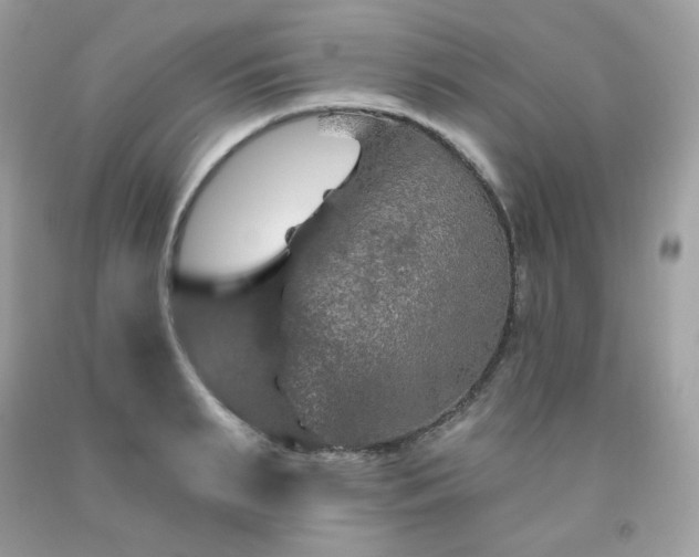 X0000091930895200709121557