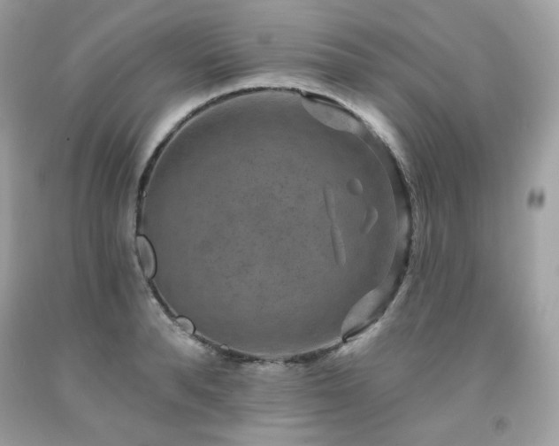 X0000091930896200709121556