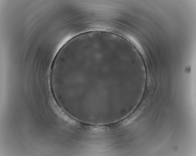 X0000091930899200709121556