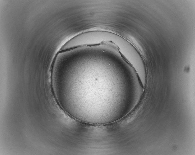 X0000091930900200709121556