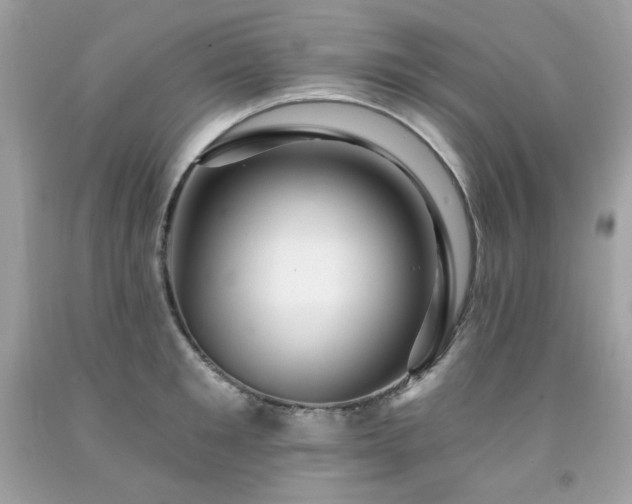 X0000091930901200709121556