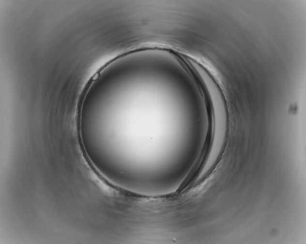 X0000091930902200709121556