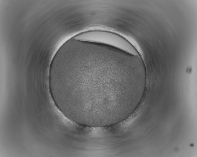 X0000091930903200709121556