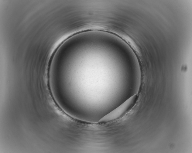 X0000091930904200709121556
