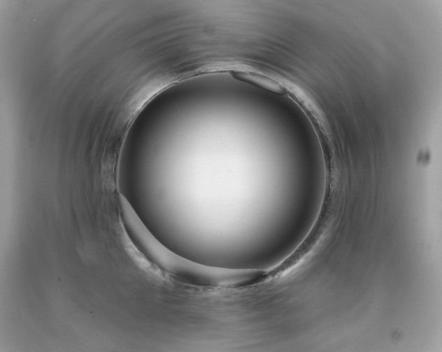 X0000091930905200709121556