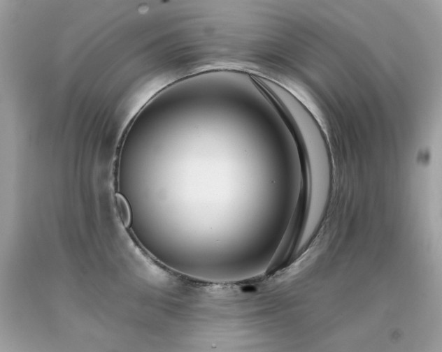 X0000091930906200709121556