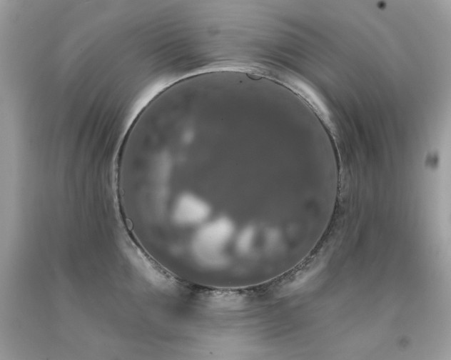 X0000091930907200709121556