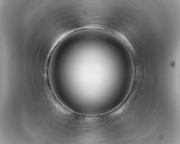 X0000091930908200709121556