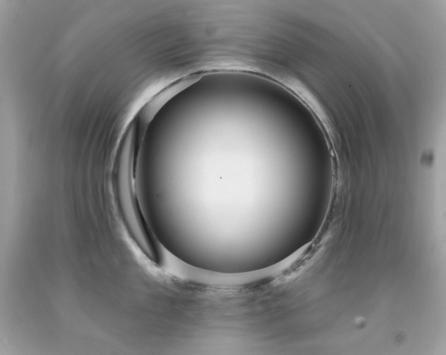 X0000091930909200709121556
