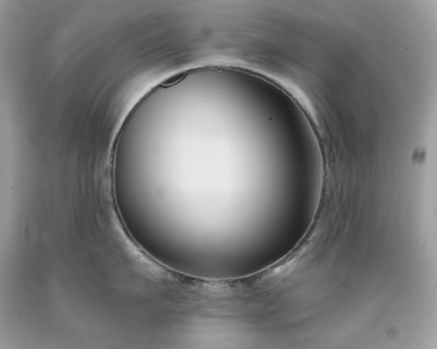 X0000091930911200709121556