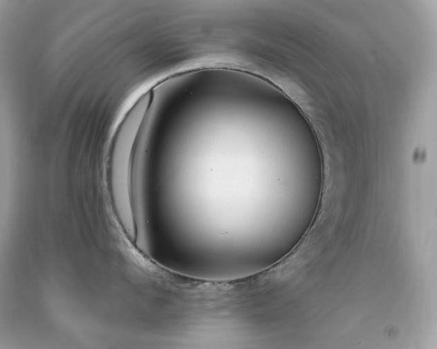 X0000091930912200709121556