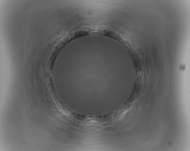 X0000091930913200709121556