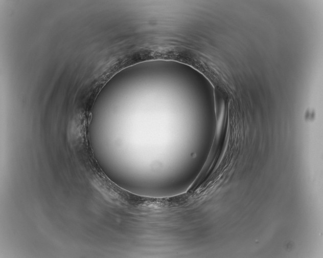 X0000091930914200709121556