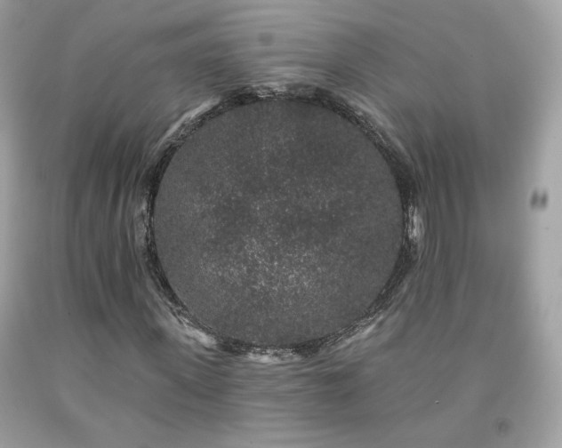 X0000091930915200709121556