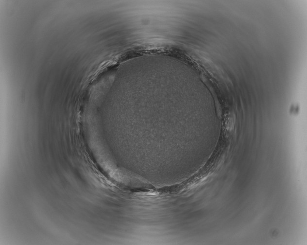 X0000091930916200709121556