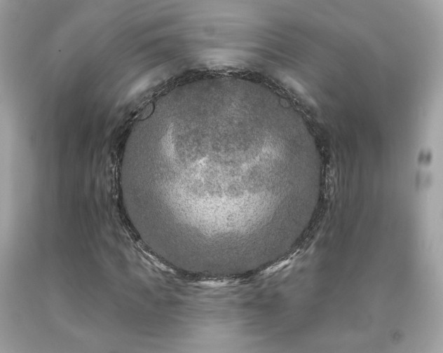 X0000091930917200709121556