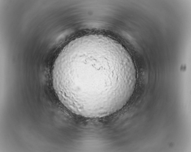 X0000091930918200709121556
