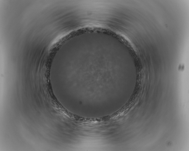 X0000091930919200709121556