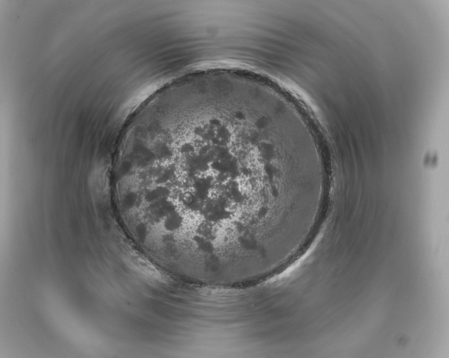 X0000091930921200709121556