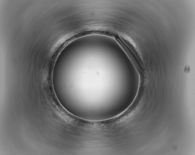 X0000091930922200709121556